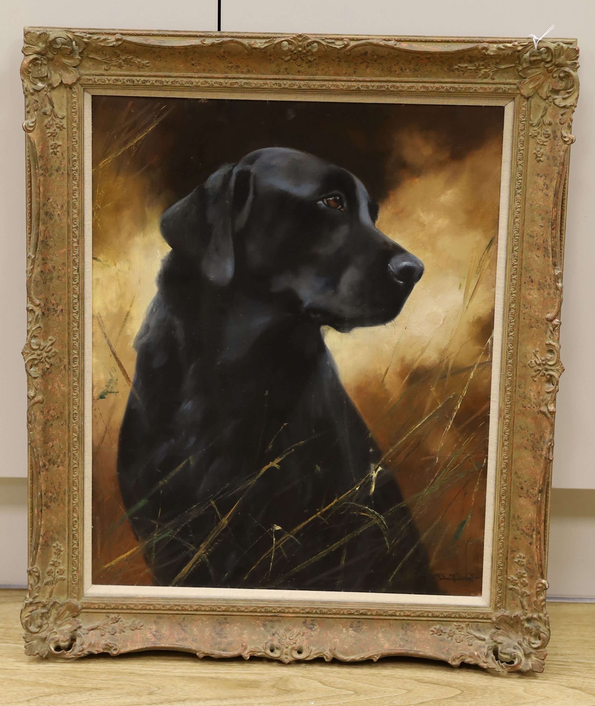 John Trickett (b.1953), oil on canvas, Portrait of a Black Labrador, signed, 50 x 40cm